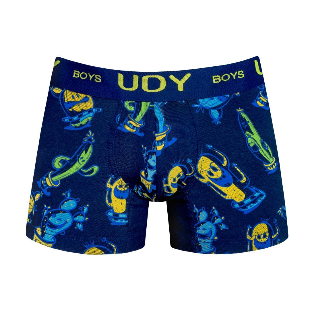 udyboys_cactus-azul Cactus - Imagen 1